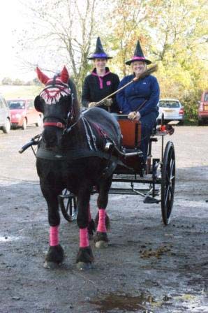 pony, driver and broomstick